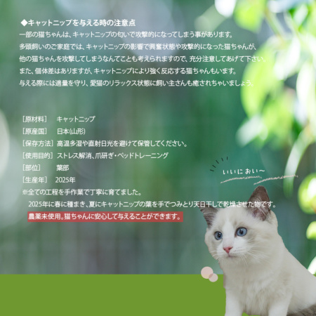 国産 オーガニック キャットニップ 2025産 無農薬 安心 安全 おもちゃ