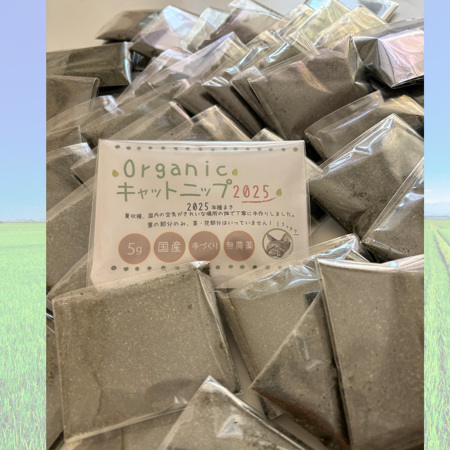 国産 オーガニック キャットニップ 2025産 無農薬 安心 安全 おもちゃ