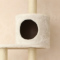 ACeC[W