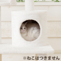 ACeC[W