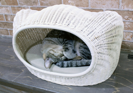 セールオンライン 猫 ハウス　愛猫 　籐　ベッド　シンシアジャパン　ラタンキティハウス 猫用品