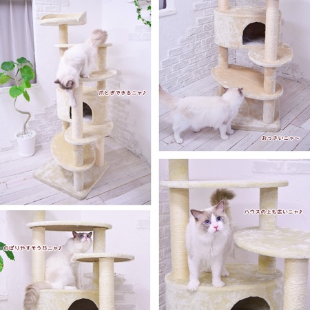 Mauタワーリッチエッグ】キャットタワー 人気 据え置き 大型猫 シニア
