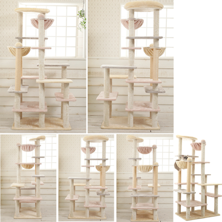 健康な松 中型 独特な樹形 スペシャルプライス35,860円→26,400円】Mauタワー カラフル 据え置き