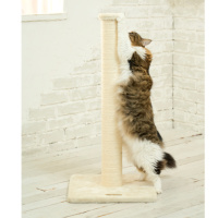 �|�[����78�p�A�̂т̂ђ܂Ƃ��ł��܂��I