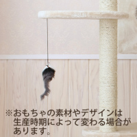 ACeC[W