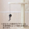 ACeC[W
