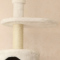 ACeC[W