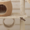 ACeC[W