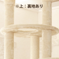 ACeC[W