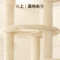 ACeC[W
