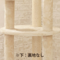 ACeC[W