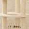 ACeC[W