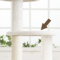 ACeC[W