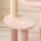 ACeC[W