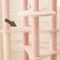 ACeC[W