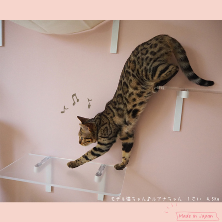 なまま　猫ちゃんステップ ワイドステップ（クリア） ステップ キャットタワー専門店Mau